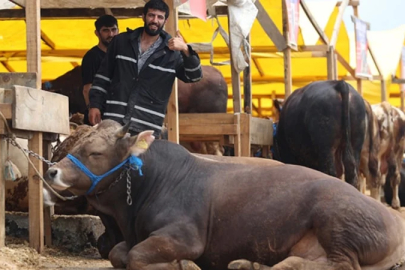 2026 Kurban Hizmetleri Tebliği yayımlandı: Kurban kesimleri için yeni kurallar
